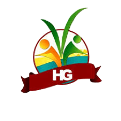 Hadi Logo